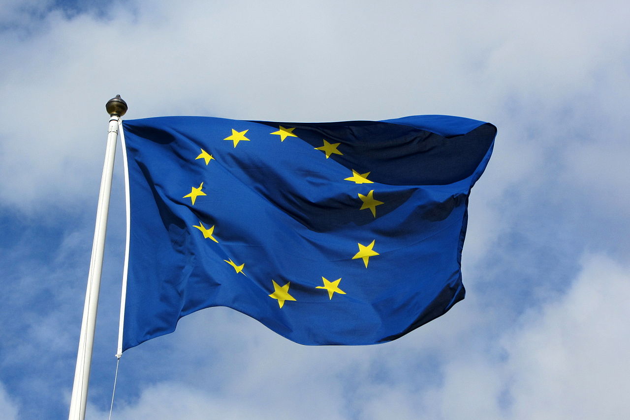 Les élections européennes pour les « nuls »