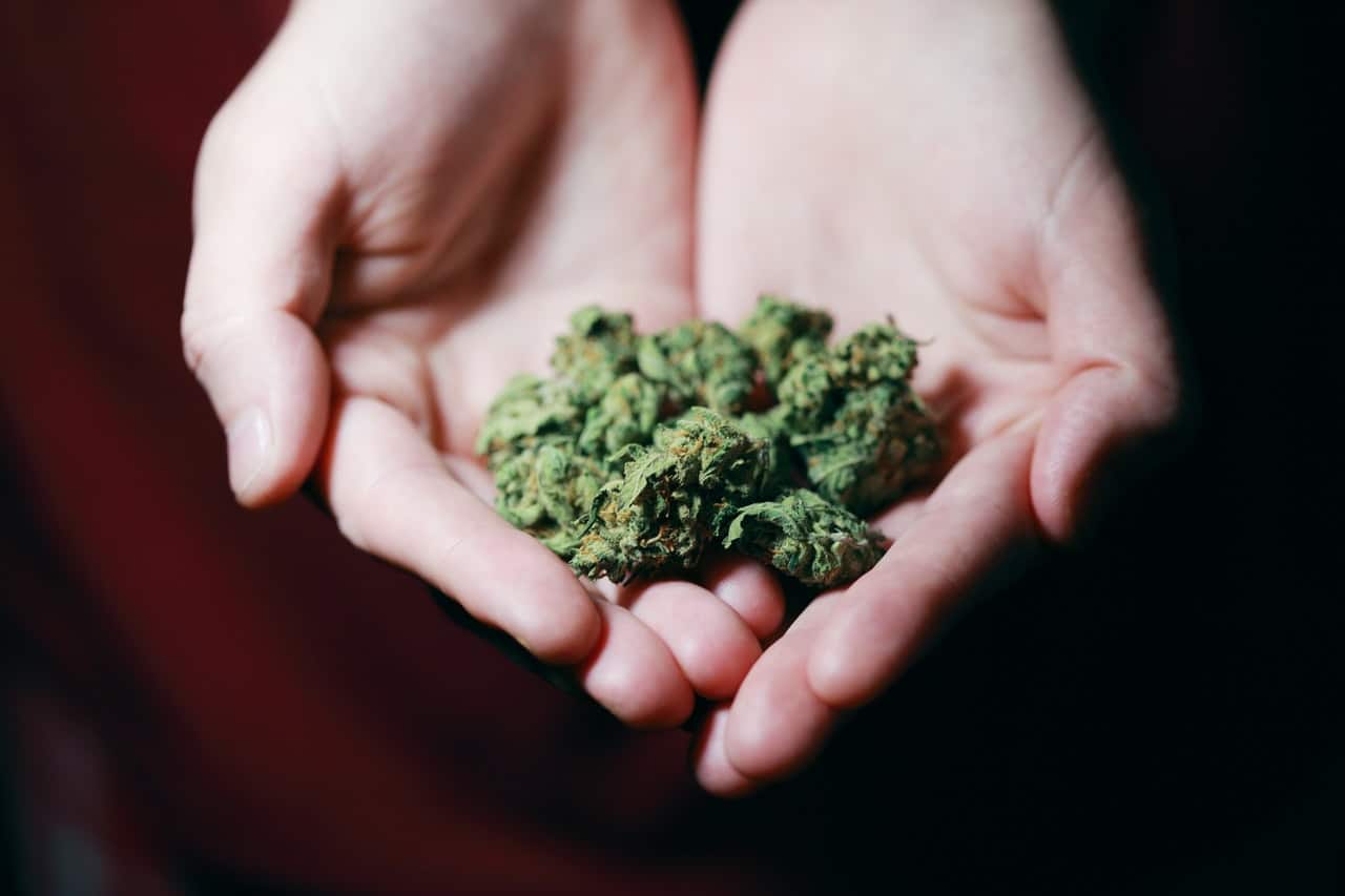 La chronique du mercredi : que dit la loi sur la détention de cannabis ?